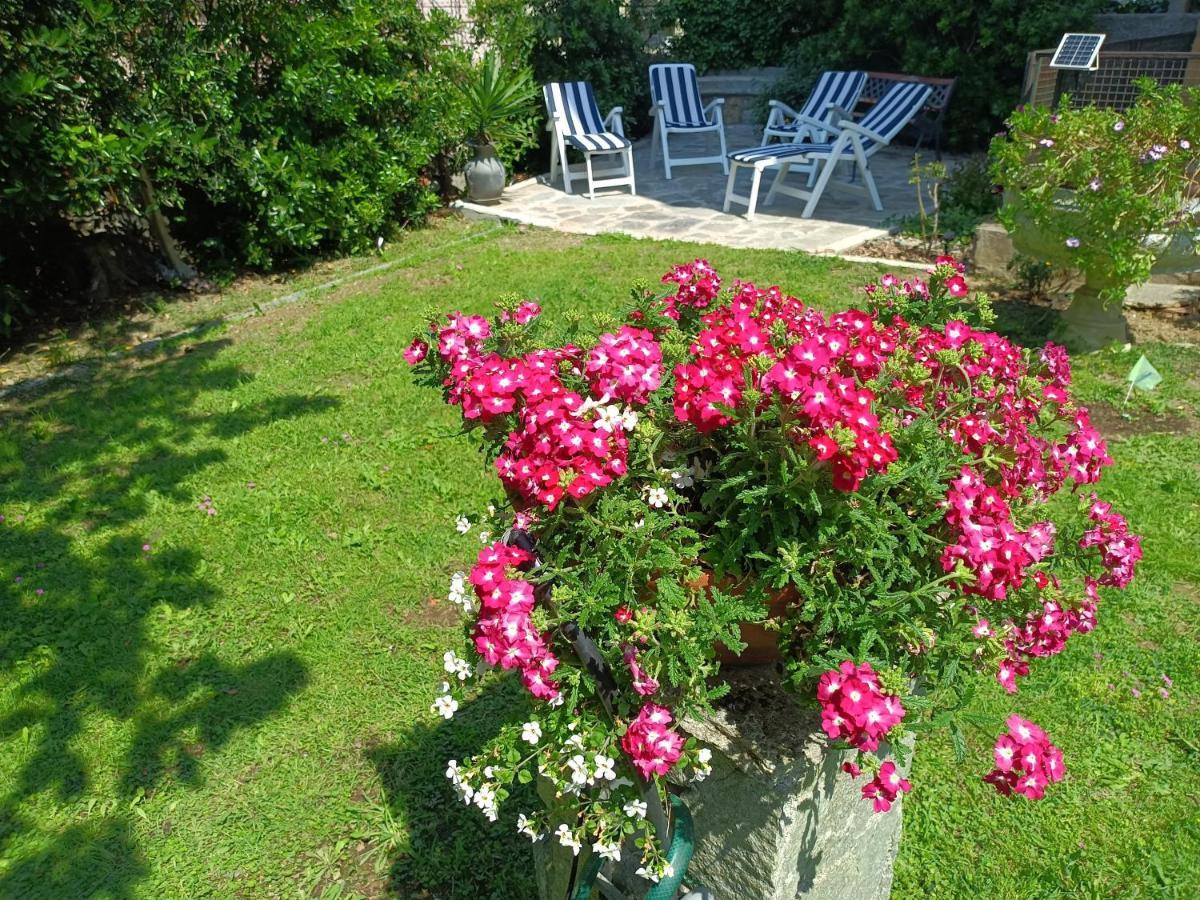 Il Giardino A Boccadasse Genova Eksteriør billede